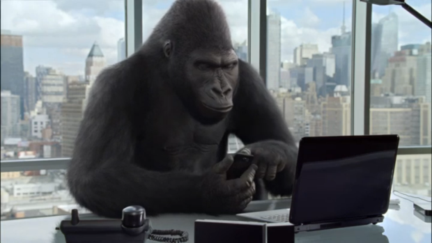 gorilla-glass-nbt-office-.png